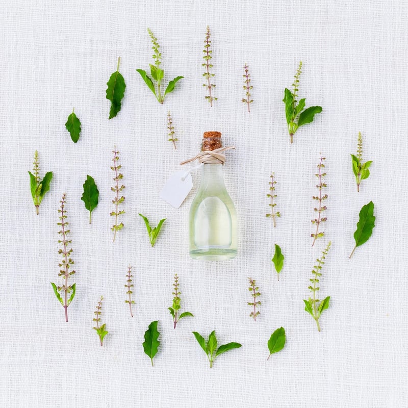 Herb Garden